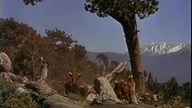 Gunsmoke (1953),napisy pl western