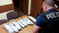 Przywiózł zioło z Holandii