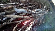 Dzień z życia rolnika - Sprzątanie pola, palenie gałęzi