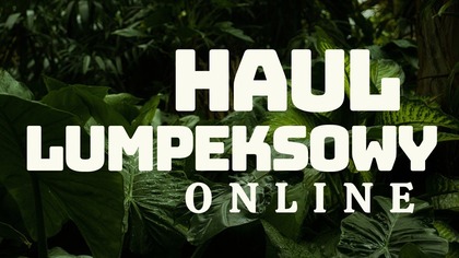 HAUL LUMPEKSOWY ONLINE I CO KUPIŁAM?