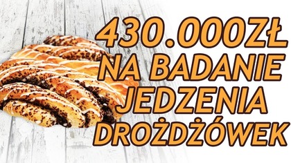 430.000 zł na badanie jedzenia drożdżówek!
