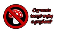 Czy warto toczyć wojnę z grzybami? Dlaczego nie warto pryskać borówek.