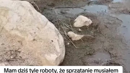 Mam dziś tyle roboty, że sprzątanie musiałem przełożyć na jutro