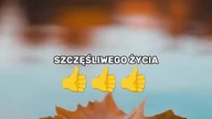 Scenariusz naszego życia jest w naszych rękach.  #inspiracja #działanie #motywacja #emocje #sukces