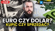 Dolar i Euro po wygranej Trumpa.  Idzie burza na walutach? Niemcy ucierpią, czy Polska też?
