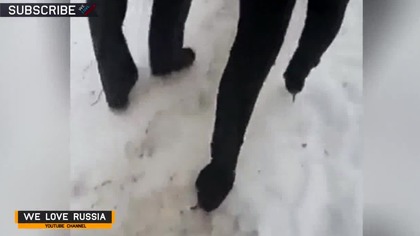 We Love Russia 2015 - Russian Fail Compilation #29 