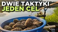 596 WIECZORNY I PORANNY FEEDER NA ODRZE - WROCŁAW