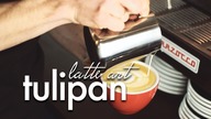 Latte art: TULIPAN - poradnik dla początkujących. Czajnikowy.pl