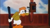 Kaczor Donald - Stara sekwoja