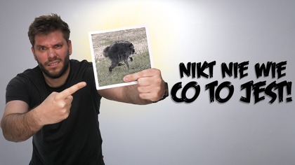 NIKT NIE WIE, CO TO JEST?! | Poszukiwacz 578