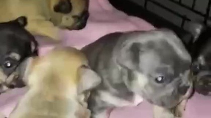 53de0bac-6b1f-482e-9945-ba35aa0d7b66