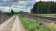 Parada Parowozow Wolsztyn 2019 Jazda rownoległa Parowozow 4K
