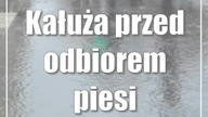 Kałuża przed odbiorem: piesi pomstująok2