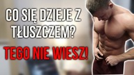 Jak SPALIĆ jak NAJWIĘCEJ TŁUSZCZU - WAŻNE - TEGO NIE WIESZ!