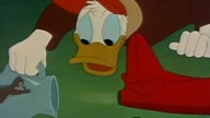 Kaczor Donald - Oblatywacz Donald