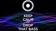 Animals by Martin Garrix (Bass Boosted)