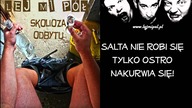 Nakurwiaj Salto LMP (karaoke)
