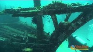 Niezapomniane chwile na Filipinach - Best Divers