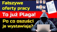 Oszuści wystawiają fikcyjne oferty pracy - dlaczego to robią?