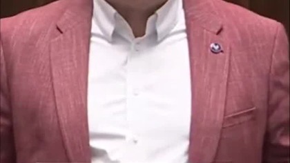 Czy rząd wie, co robi? Szokujące liczby dotyczące sprzedaży polskiego drewna!