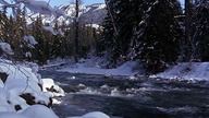 Northern Exposure S04E15 Learning Curve