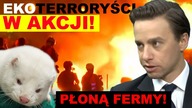 Bosak ostro o atakach na hodowców zwierząt.  Nie pozwolimy zniszczyć ich lewicowym ideologom