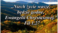 świadectwo Maćka D