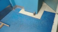 Winda Schindler EuroLift dla personelu w Gemini Park Tarnów (kiepsko nagrana)