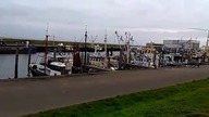 Zatoka Holenderska port rybacki kutry