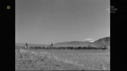 Tysiąc mil w kurzu odc 15 - Incydent z uzbrojoną damą 1959 l lektor.pl westrn