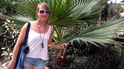 Cz. 2-#240 Palma Washingtonia filifera nitkowata.  Ogród botaniczny PAN Powsin.