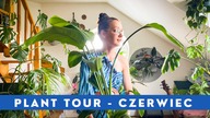 Roślinne aktualizacje PLANT TOUR Czerwiec  Moje rośliny domowe