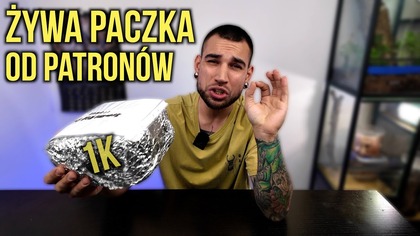 Ptaszniki od Patronów! Żywa paczka za tysiaka  Unboxing