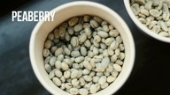 Kawa Peaberry.  Czajnikowy.pl