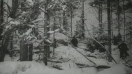 Dziewczyna z Leningradu 1941 nap.al