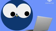MTV Oy Bird Reaction to a WILD Nick Jr. Face Animation (FIXED)