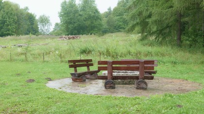 Gentle Mountain Rain for Deep Sleep | Cozy Clearing Ambience & ASMR