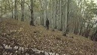 MAGNETO (1993)
