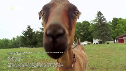 NATGEOPEOPLE - 27-12-2024 - Zapowiedzi, Reklama, Ident