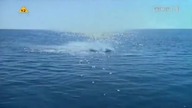 Trójkąt Bermudzki Bermuda Triangle ... 1996..TVP .