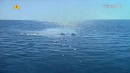 Trójkąt Bermudzki Bermuda Triangle ... 1996..TVP .