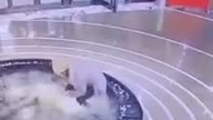 Babka w galeri wypierdala orła
