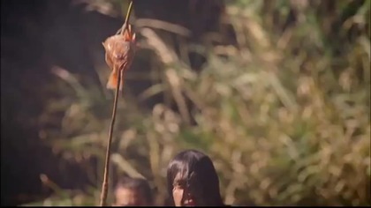 INVASION 16.  (2005)