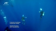 ANIMALPLANET - 19-07-2022 - Zapowiedzi 2x, Reklama, Ident