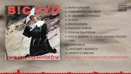 BIG CYC - Piosenka o Solidarności czyli Wszystko Gnije | 13 - Wojna Plemników (1993)