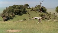 Out Of Africa (1985) Cd2 (Lektor Pl)