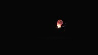 Lantern / Lampion