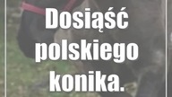 Dosiąść polskiego konika.  Szkółka w RPN