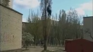 Uwolnij sw&oacute;j umysł i skacz