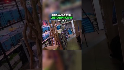 Nawożenie Zbiorników w sklepie.  Aquafloor Ruda Śląska.